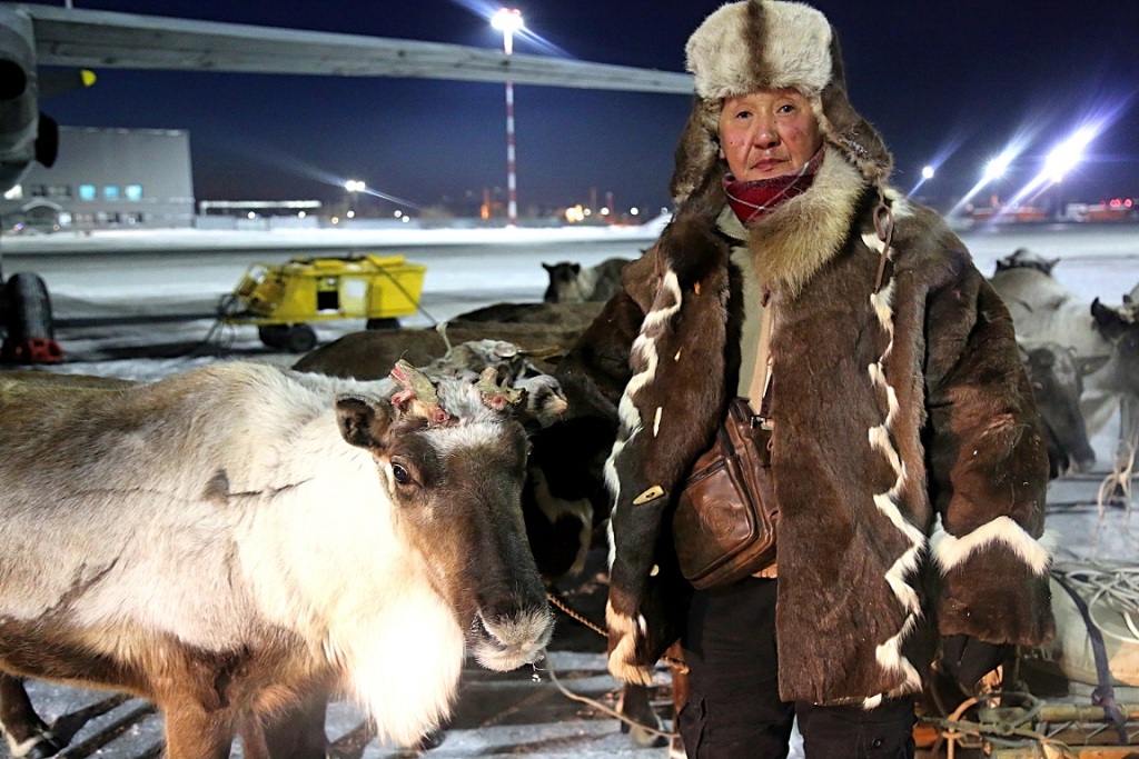 18-olenei-dostavil-pochtovyi-reis-iz-Tiksi-v-Yakutsk1_foto-press-slughby-...-1.jpg