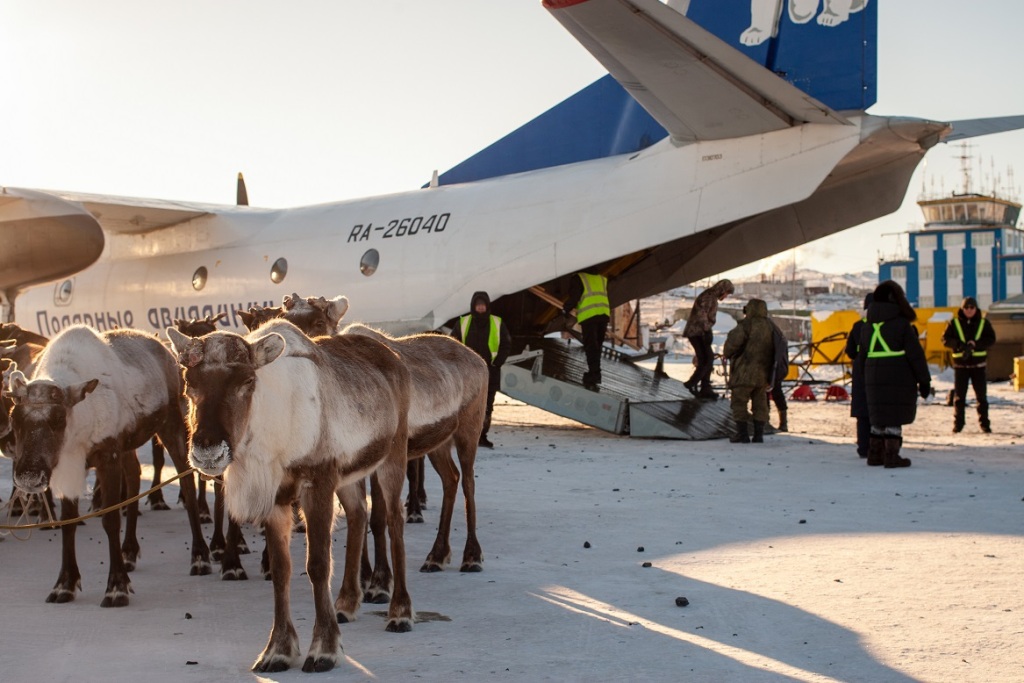 18-olenei-dostavil-pochtovyi-reis-iz-Tiksi-v-Yakutsk2_foto-press-slughby-...-1.jpg