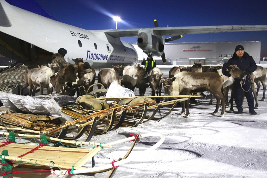 18-olenei-dostavil-pochtovyi-reis-iz-Tiksi-v-Yakutsk2_foto-press-slughby-....jpg