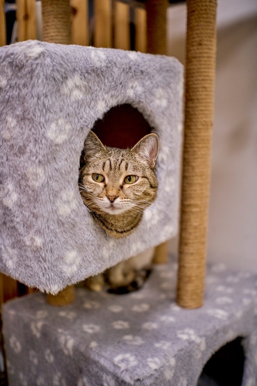 quTwFVbagG98dtncQm_2K9qV9YarRXPXY96WqwW6PCq8jePkugPf2V3rsi6TR7XdlgJzh2C2z0pKab3MlrIVi8VQ.jpg quTwFVbagG98dtncQm_2K9qV9YarRXPXY96WqwW6PCq8jePkugPf2V3rsi6TR7XdlgJzh2C2z0pKab3MlrIVi8VQ.jpg