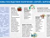 ЧТО ДЕЛАТЬ, ЕСЛИ МНЕ ПЛАТЯТ ЗАРПЛАТУ В КОНВЕРТЕ?